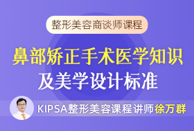3.鼻部矫正手术医学知识及美学设计标准